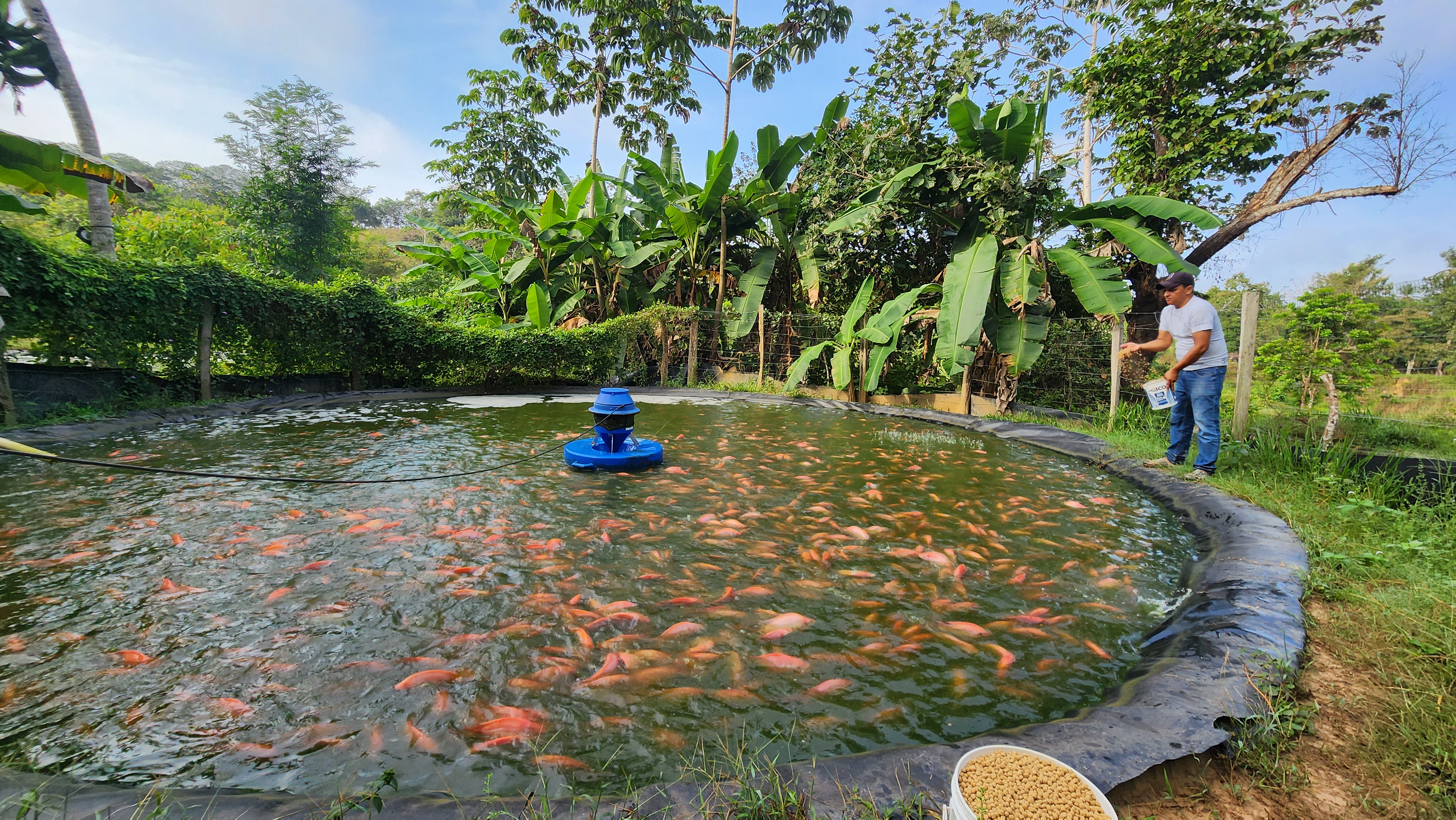 Intervención territorial con enfoque Triple Nexo
