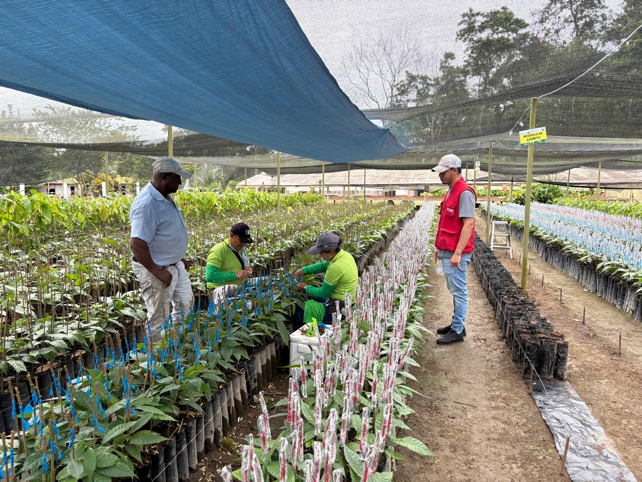 Intervención territorial con enfoque Triple Nexo - 3